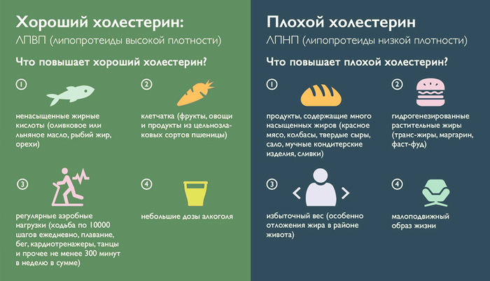 Различия между хорошим и плохим холестерином